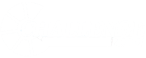 Challenge 2000 - white