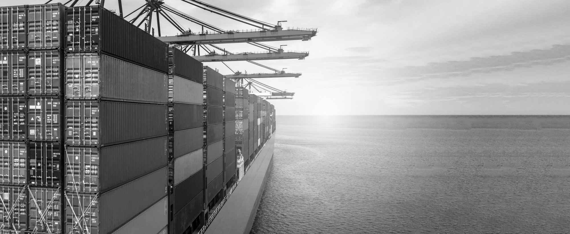 Container (2) B&W