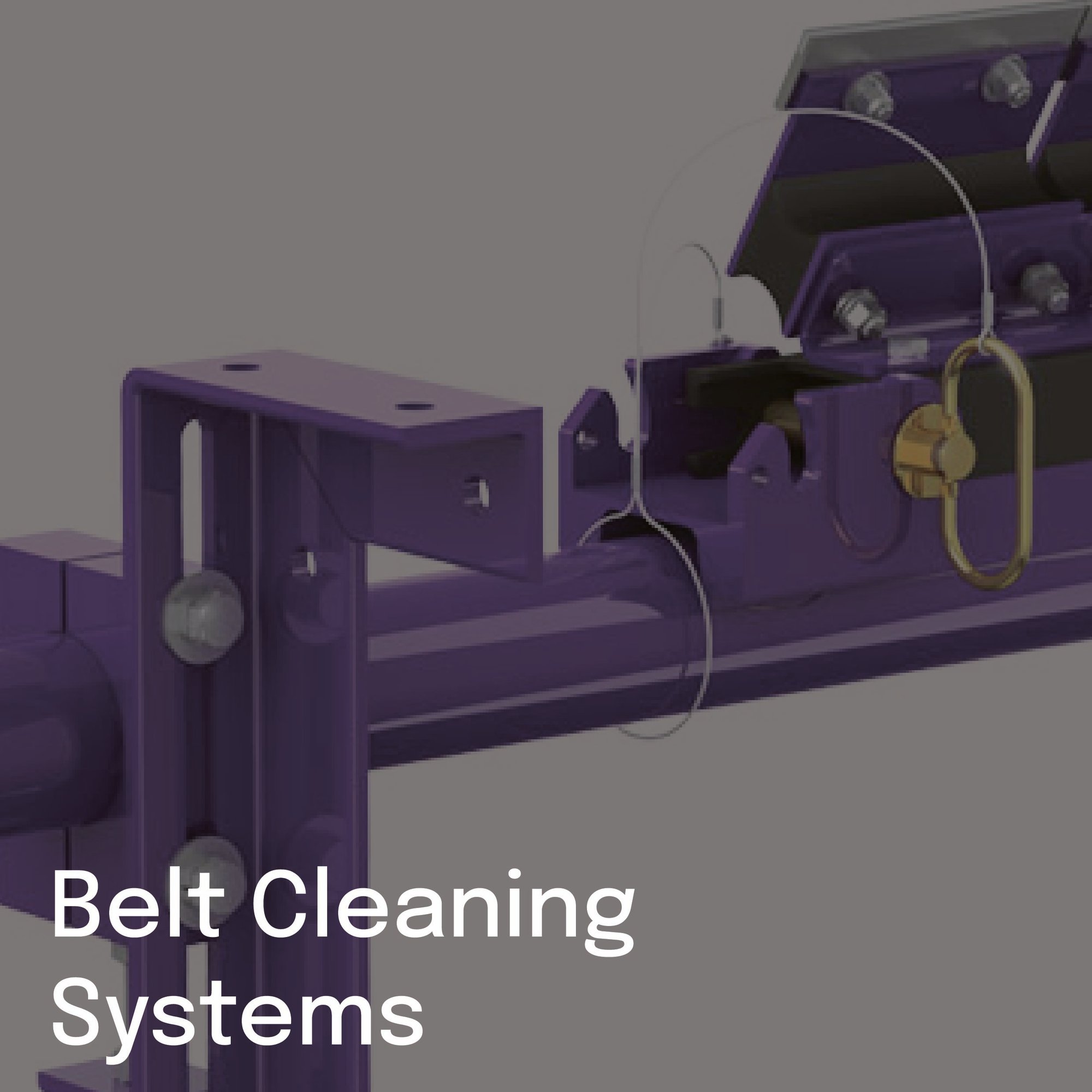Belt Cleaning Systems