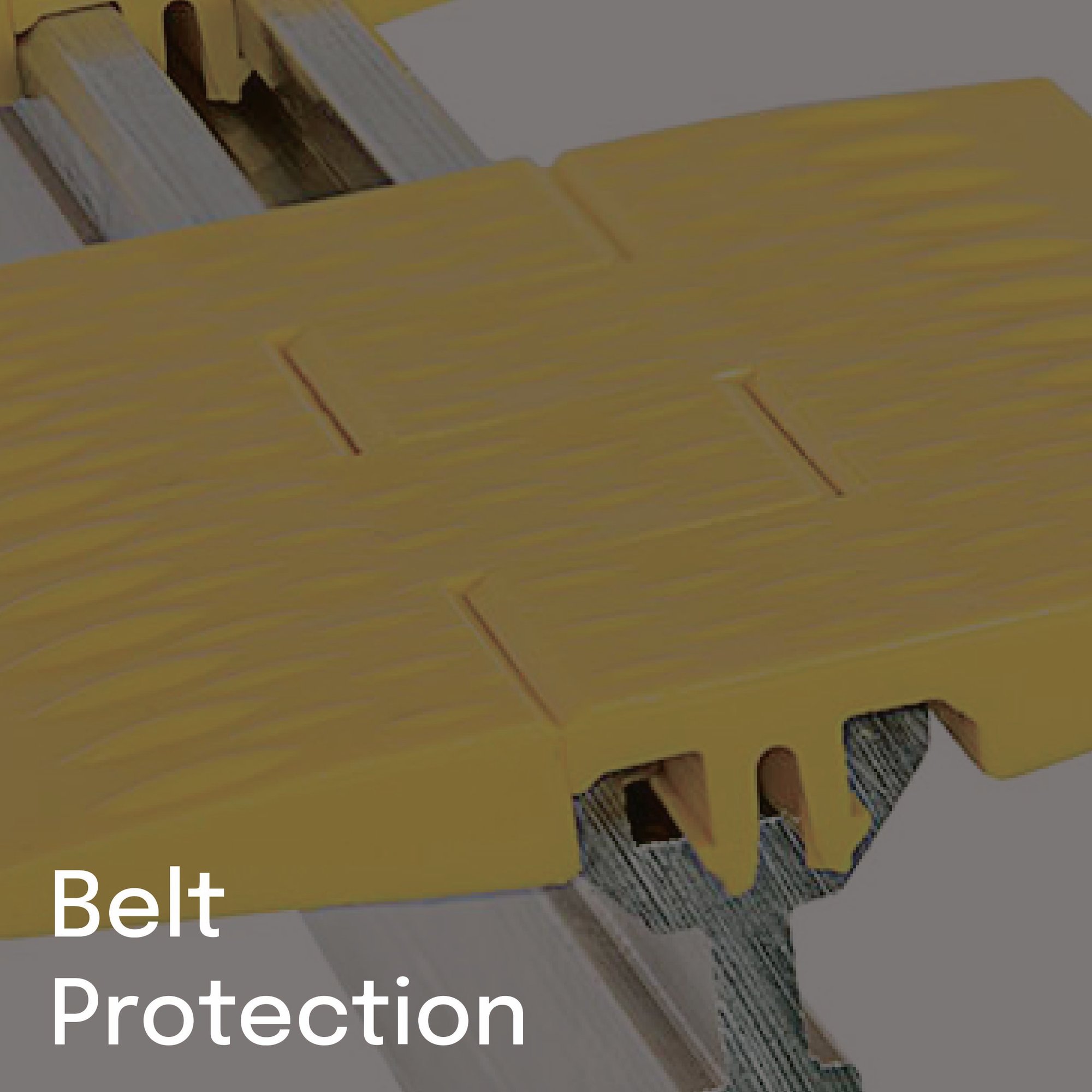 Belt Protection