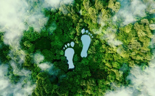 footprint--reduced-file