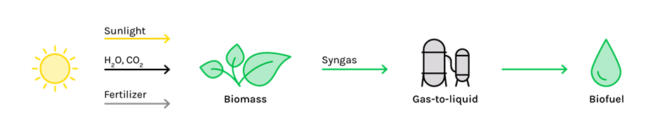 Biomass to liquid processBiomass to liquid produces biofuels